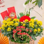 Chậu Hoa Thiết Kế Vạn Lộc 188