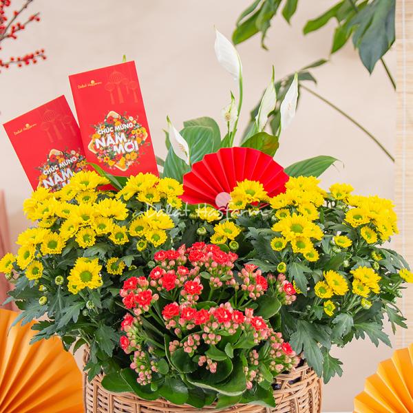 Chậu Hoa Thiết Kế Vạn Lộc 188