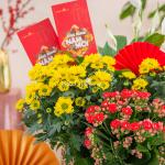 Chậu Hoa Thiết Kế Vạn Lộc 188