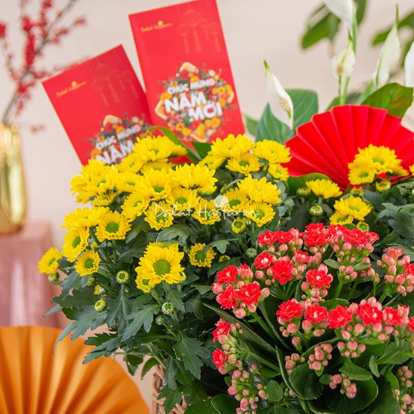 Chậu Hoa Thiết Kế Vạn Lộc 188