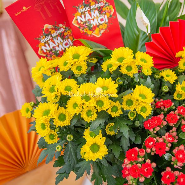 Chậu Hoa Thiết Kế Vạn Lộc 188