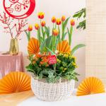 Chậu Hoa Thiết Kế Vạn Lộc 186