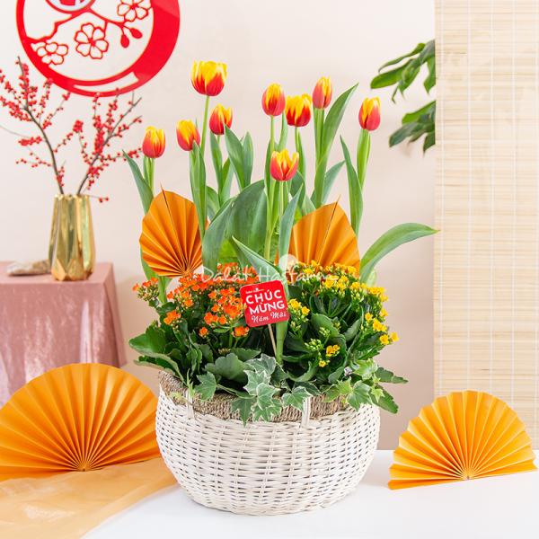 Chậu Hoa Thiết Kế Vạn Lộc 186