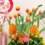 Chậu Hoa Thiết Kế Vạn Lộc 186