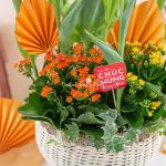 Chậu Hoa Thiết Kế Vạn Lộc 186