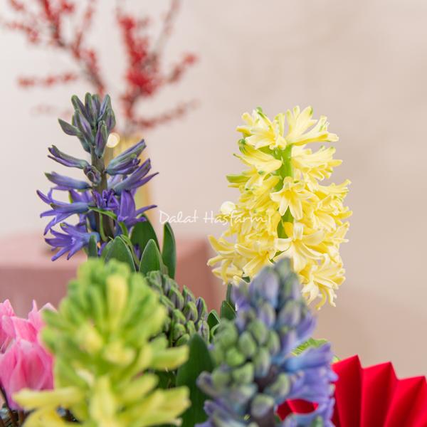 Chậu Hoa Thiết Kế Hương Mùa Xuân 185