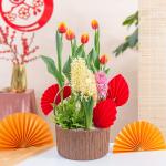 Chậu Hoa Thiết Kế Sắc Xuân 184