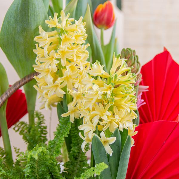 Chậu Hoa Thiết Kế Sắc Xuân 184