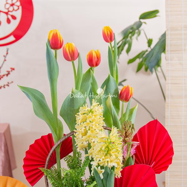 Chậu Hoa Thiết Kế Sắc Xuân 184