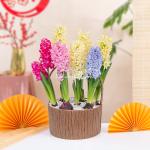 Chậu Hoa Thiết Kế Hương Mùa Xuân 192