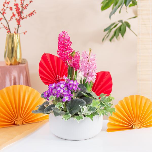 Chậu Hoa Thiết Kế Hương Mùa Xuân 187