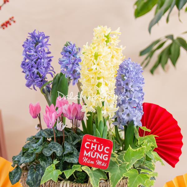 Chậu Hoa Thiết Kế Hương Mùa Xuân 185