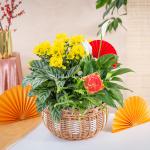 Chậu Hoa Thiết Kế Vạn Lộc 191