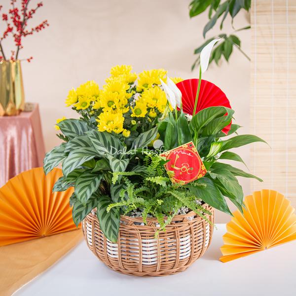 Chậu Hoa Thiết Kế Vạn Lộc 191