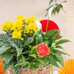 Chậu Hoa Thiết Kế Vạn Lộc 191