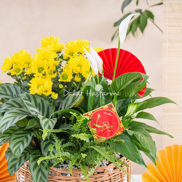 Chậu Hoa Thiết Kế Vạn Lộc 191