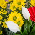 Chậu Hoa Thiết Kế Vạn Lộc 191