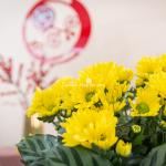 Chậu Hoa Thiết Kế Vạn Lộc 191