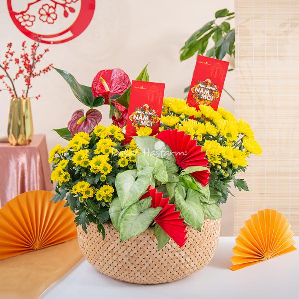 Chậu Hoa Thiết Kế Vạn Lộc 189