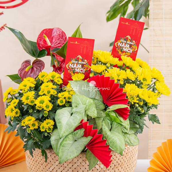 Chậu Hoa Thiết Kế Vạn Lộc 189