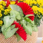 Chậu Hoa Thiết Kế Vạn Lộc 189