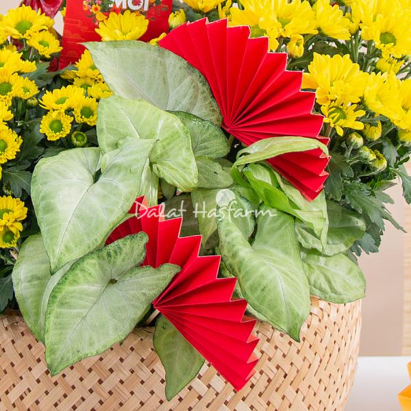 Chậu Hoa Thiết Kế Vạn Lộc 189