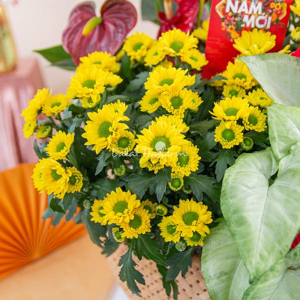 Chậu Hoa Thiết Kế Vạn Lộc 189