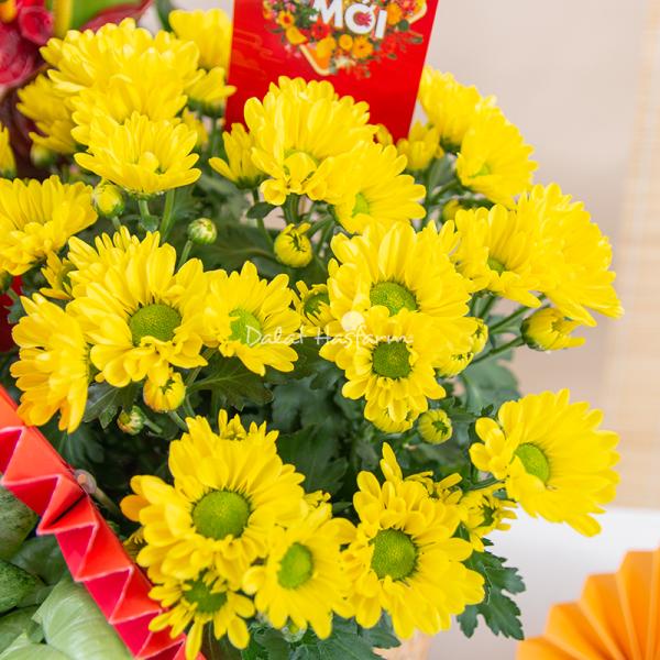 Chậu Hoa Thiết Kế Vạn Lộc 189