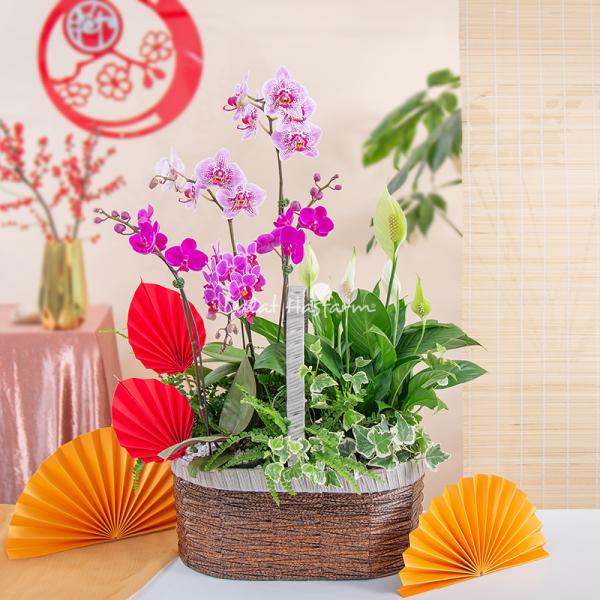 Chậu Hoa Thiết Kế Như Ý 195