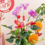 Chậu Hoa Thiết Kế Như Ý 193