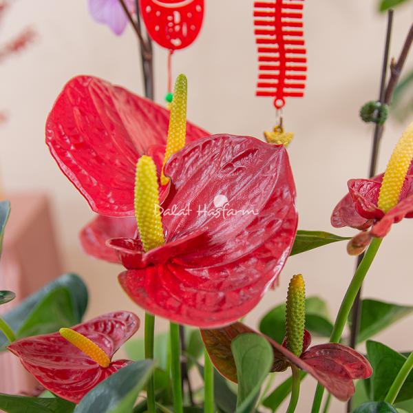 Chậu Hoa Thiết Kế Như Ý 193