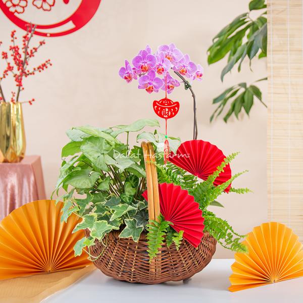 Chậu Hoa Thiết Kế Như Ý 194