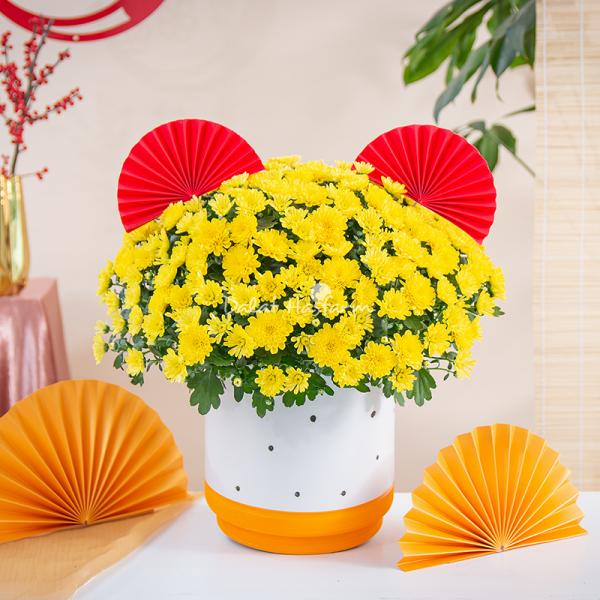 Chậu Sứ Hoa Cúc Hoàn Cầu 199