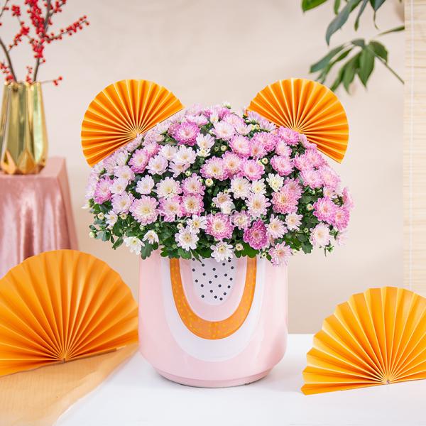 Chậu Sứ Hoa Cúc Hoàn Cầu 199