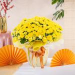 Chậu Giấy Gói Hoa Cúc Hoàn Cầu 145