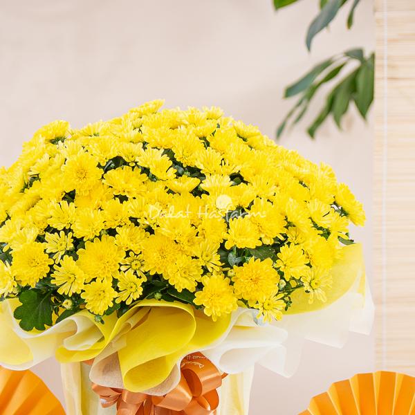 Chậu Giấy Gói Hoa Cúc Hoàn Cầu 145