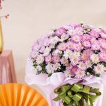 Chậu Giấy Gói Hoa Cúc Hoàn Cầu 145