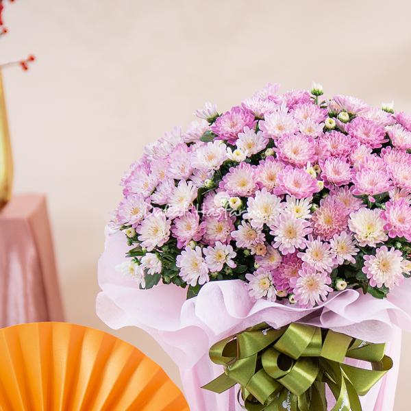 Chậu Giấy Gói Hoa Cúc Hoàn Cầu 145