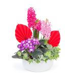 Chậu Hoa Thiết Kế Hương Mùa Xuân 187