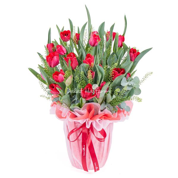Bình Hoa Tulip 038