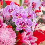 Bình Hoa Yêu Thương Rực Rỡ 549