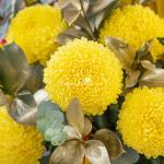 Bình Hoa Khai Xuân Vạn Phúc 559