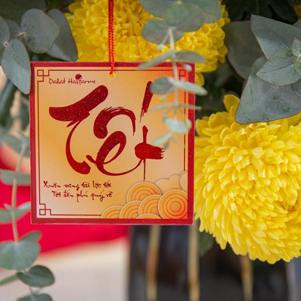 Bình Hoa Khai Xuân Vạn Phúc 559