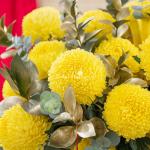 Bình Hoa Khai Xuân Vạn Phúc 559