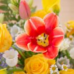 Giỏ Hoa Yêu Thương Rực Rỡ 547