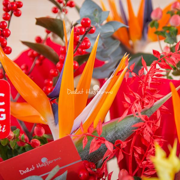 Bình Hoa Khai Xuân Vạn Phúc 554