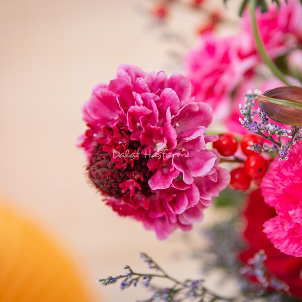 Giỏ Hoa Yêu Thương Rực Rỡ 546