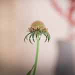 Giỏ Hoa Yêu Thương Rực Rỡ 546