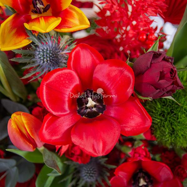 Giỏ Hoa Yêu Thương Rực Rỡ 557