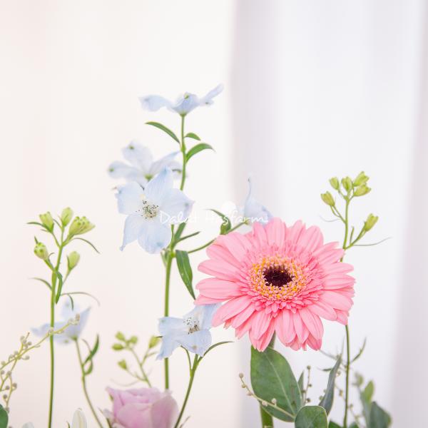 Giỏ Hoa Yêu Thương Trân Quý 570